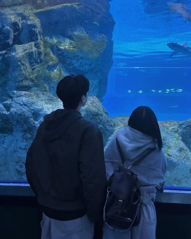 Nơi Giấc Mơ Bắt Đầu
